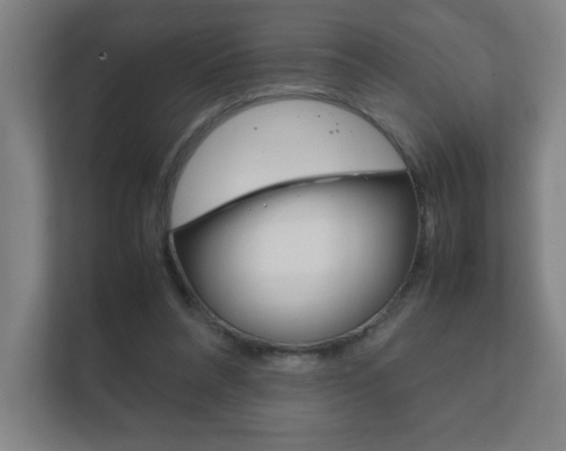 X0000111850304200907231105