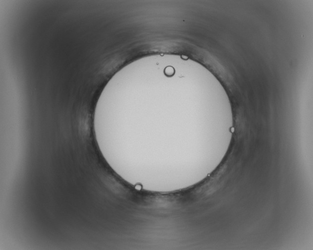 X0000111850305200907231105
