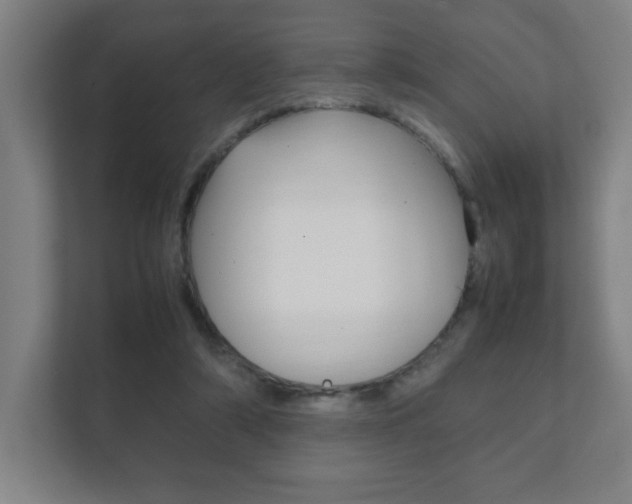 X0000111850306200907231105