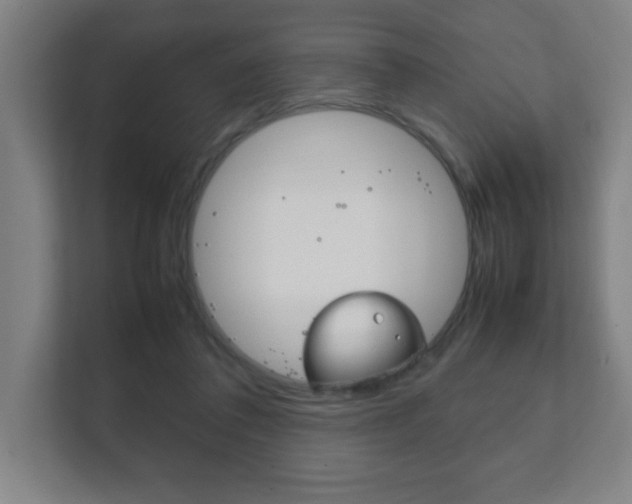 X0000111850308200907231105