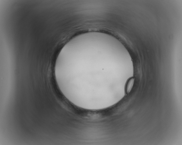 X0000111850311200907231105