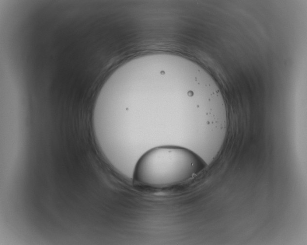 X0000111850312200907231105