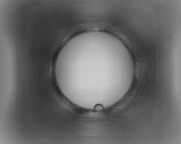 X0000111850314200907231105