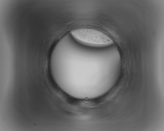 X0000111850315200907231105
