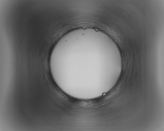 X0000111850317200907231105