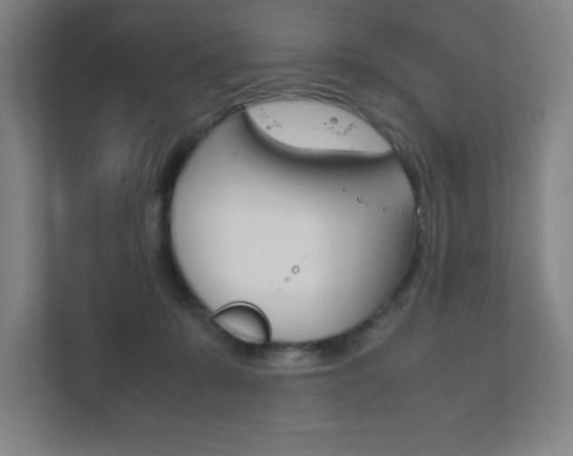 X0000111850319200907231105
