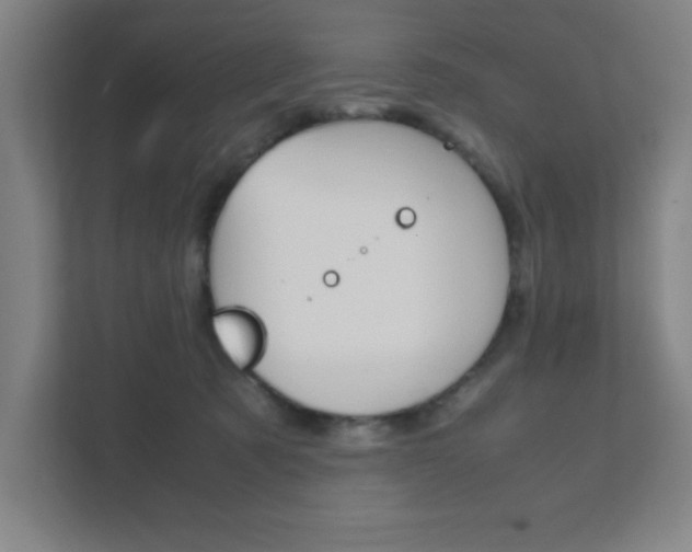X0000111850321200907231105