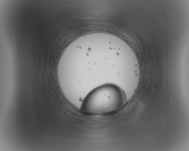 X0000111850325200907231105