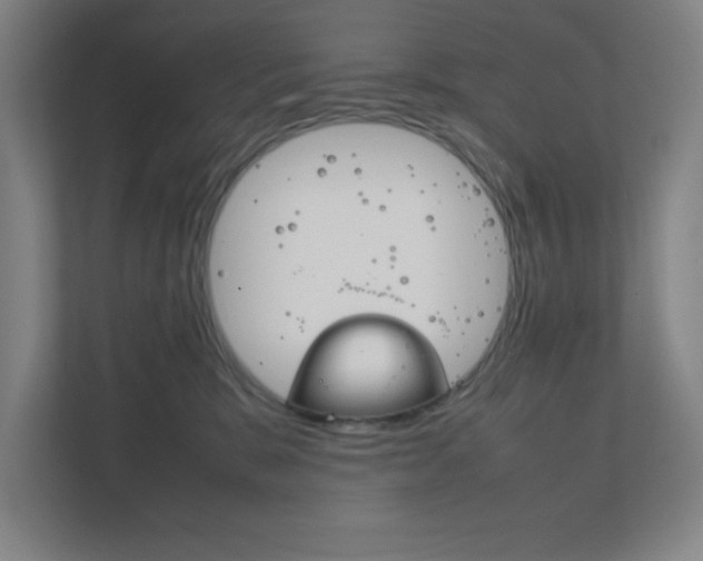 X0000111850327200907231105