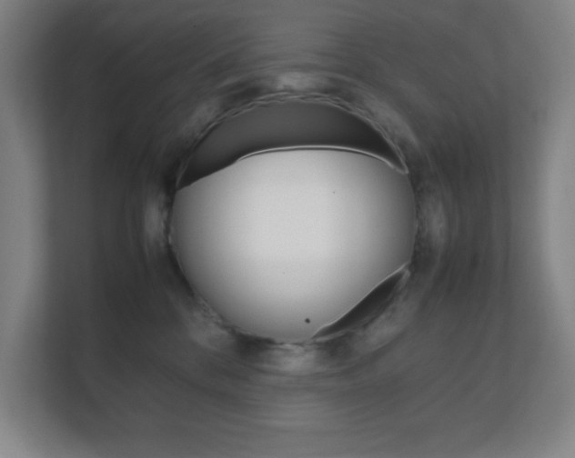 X0000111850328200907231105