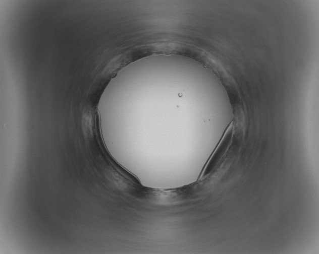 X0000111850333200907231105
