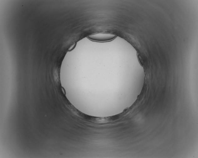 X0000111850335200907231104
