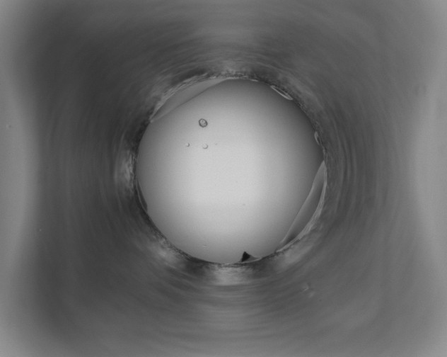 X0000111850336200907231104