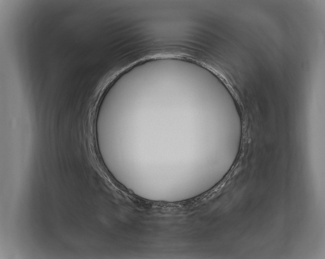 X0000111850337200907231104