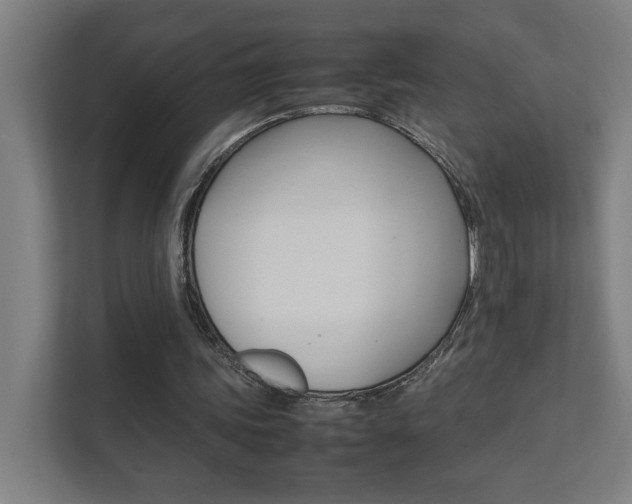 X0000111850339200907231104