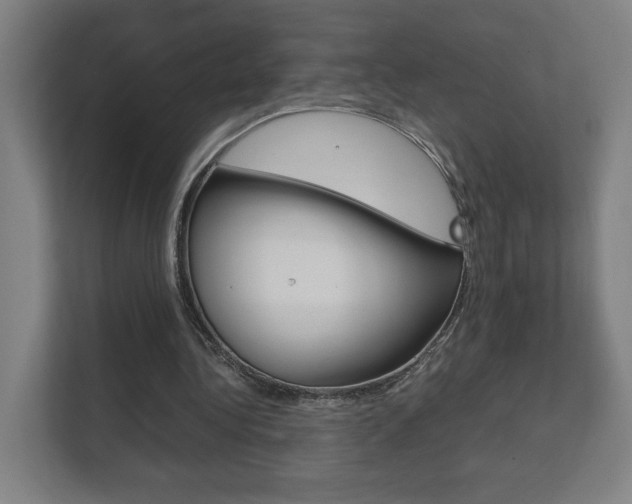 X0000111850340200907231104