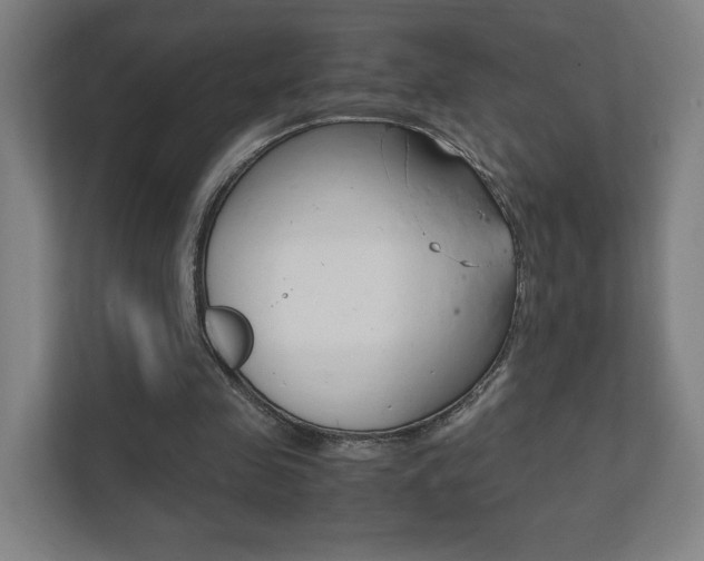 X0000111850341200907231104