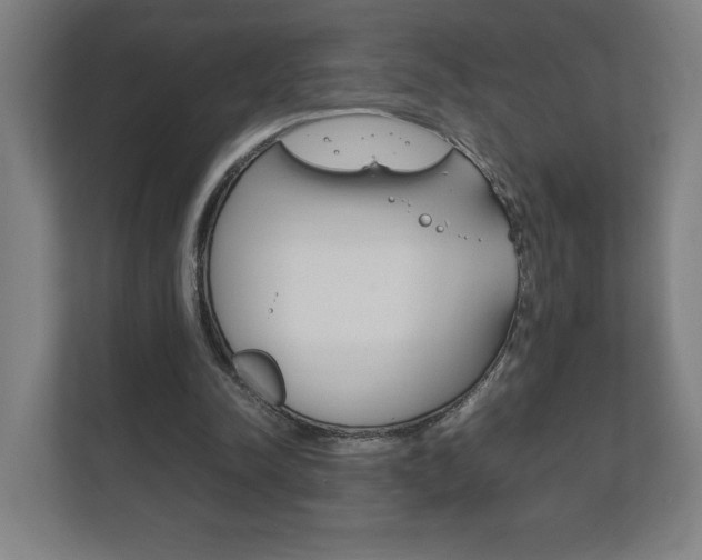 X0000111850342200907231104