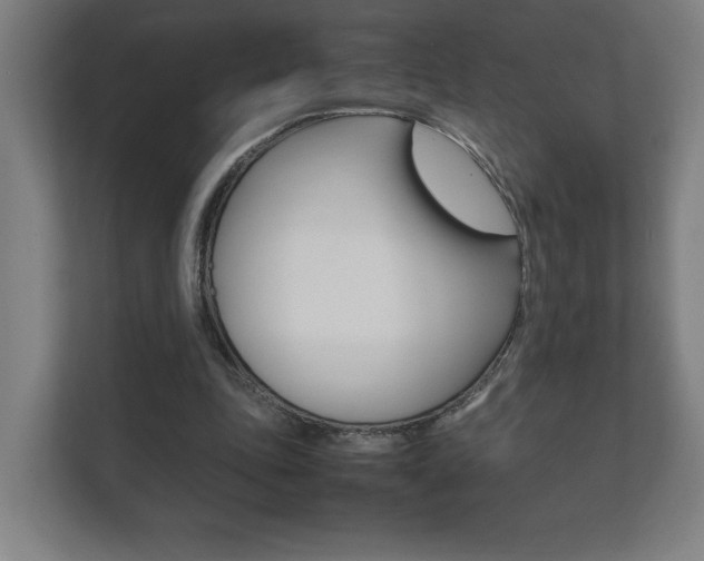 X0000111850343200907231104