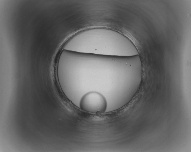 X0000111850346200907231104