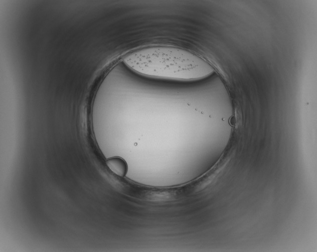X0000111850349200907231104