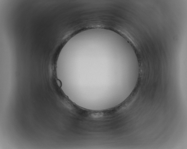 X0000111850355200907231104