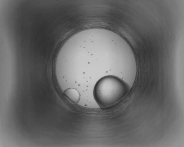 X0000111850356200907231104