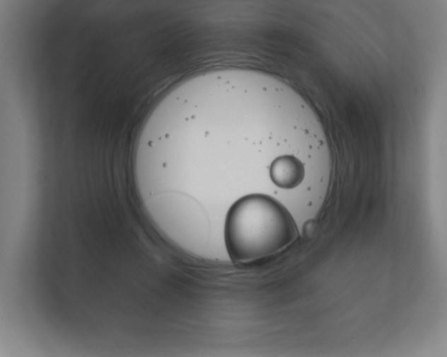X0000111850360200907231104