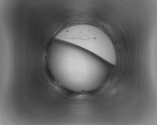 X0000111850364200907231104