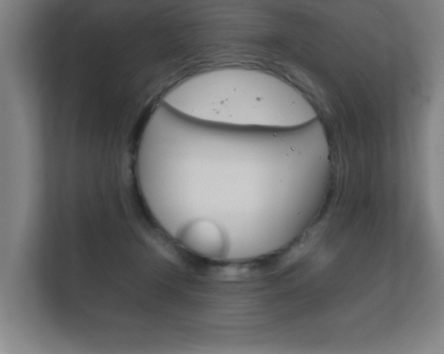 X0000111850366200907231104