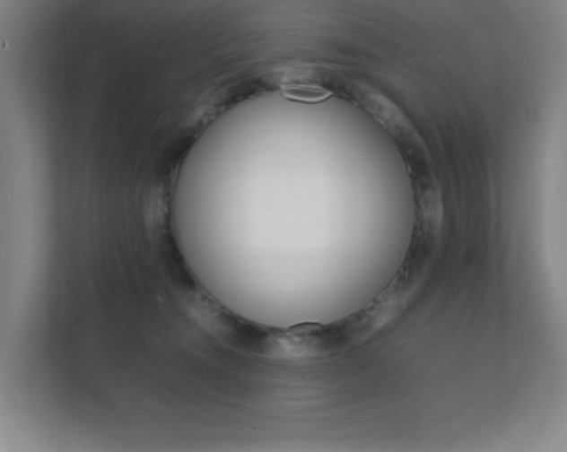 X0000111850372200907231104