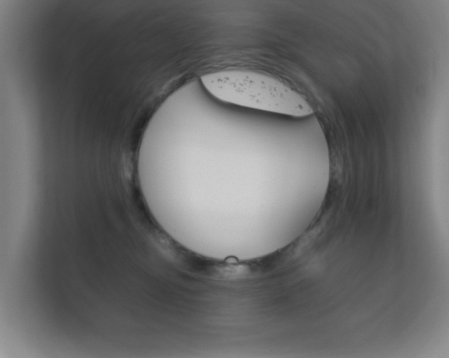 X0000111850374200907231104