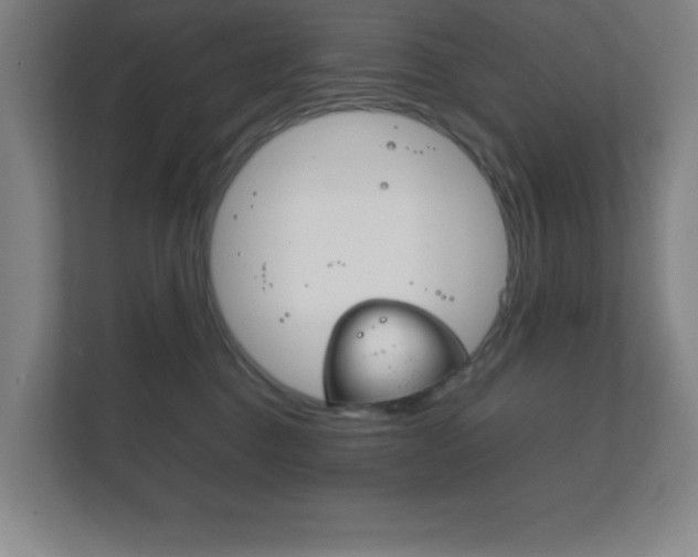 X0000111850376200907231104