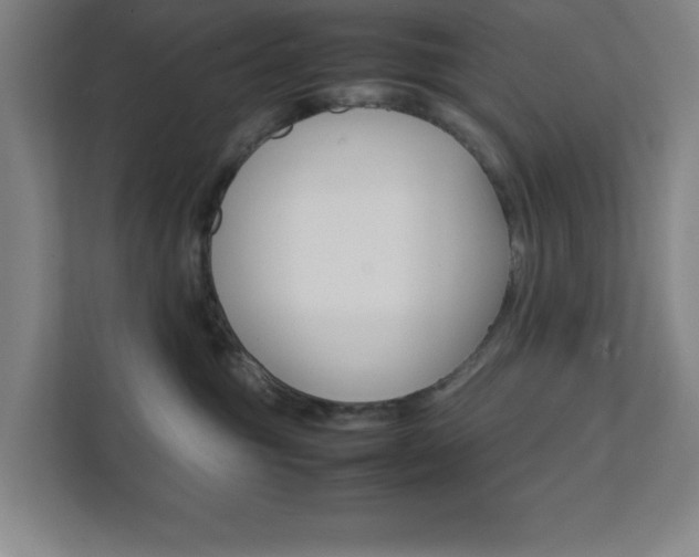 X0000111850381200907231104