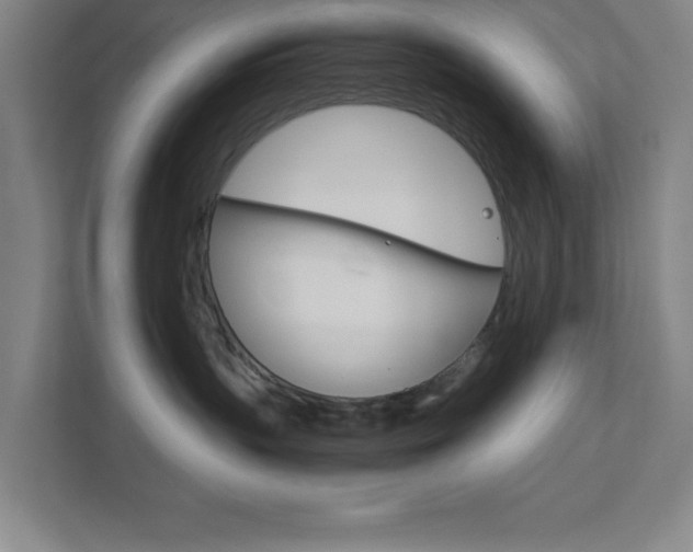 X0000111850383200907231104