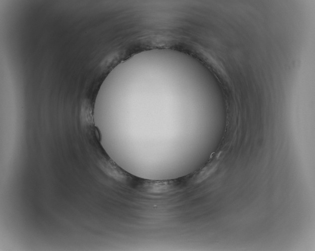 X0000111850384200907231104
