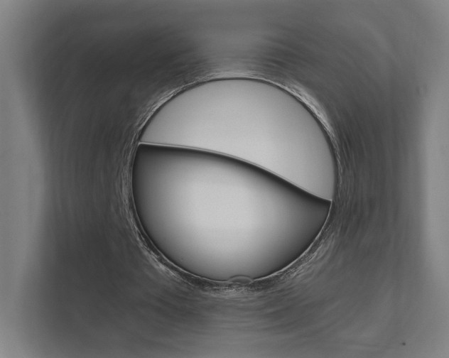X0000111850385200907231104
