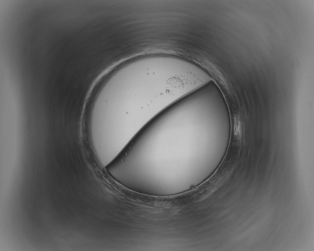 X0000111850388200907231104
