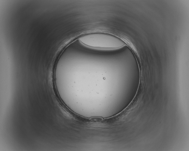 X0000111850389200907231104
