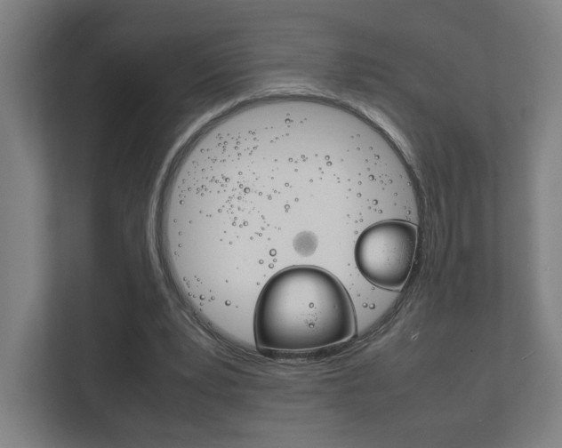 X0000111850391200907231104
