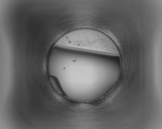 X0000111850393200907231104