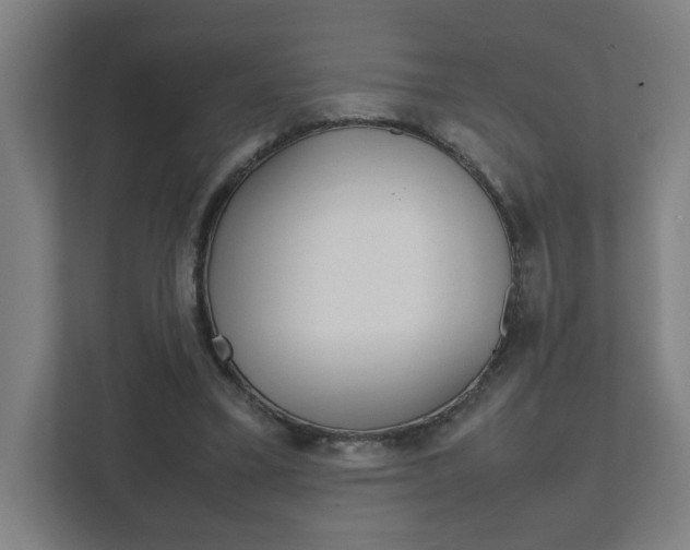 X0000111850395200907231104