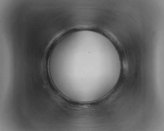 X0000111850396200907231104
