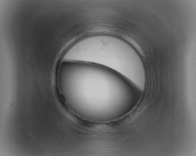 X0000111850399200907231104