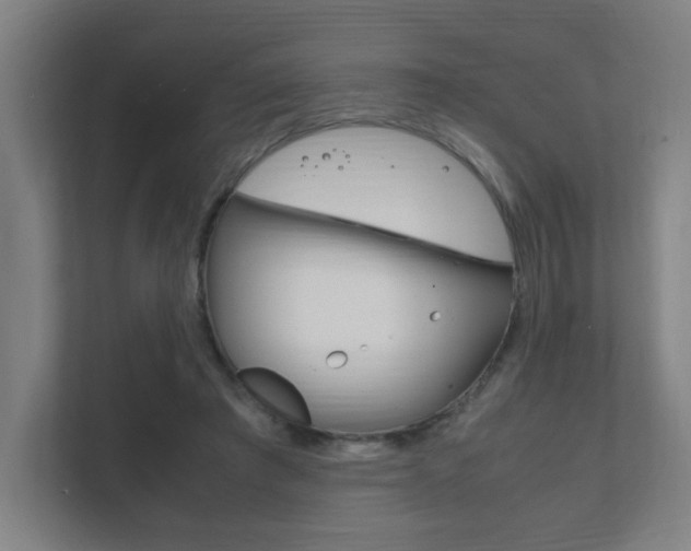 X0000111850401200907231104