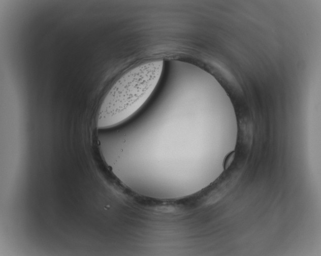 X0000111850404200907231104