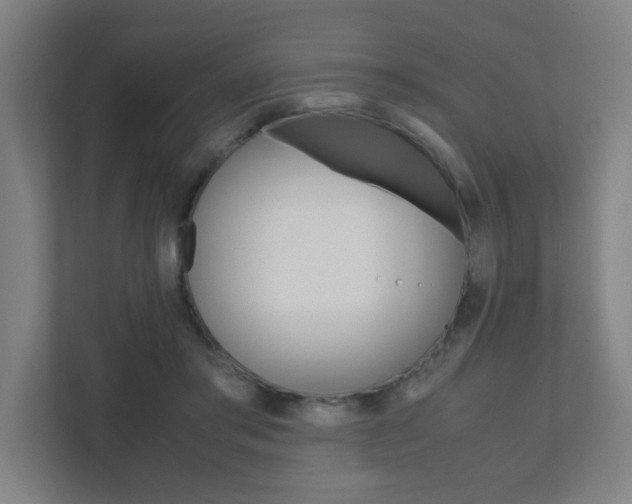 X0000111850405200907231104