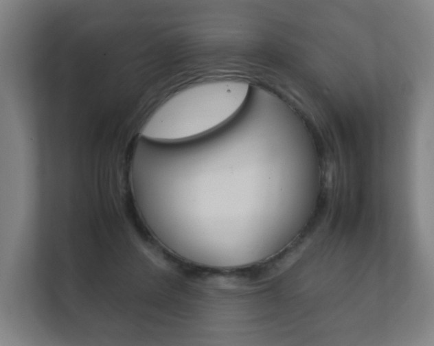 X0000111850408200907231104
