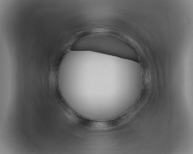 X0000111850409200907231104