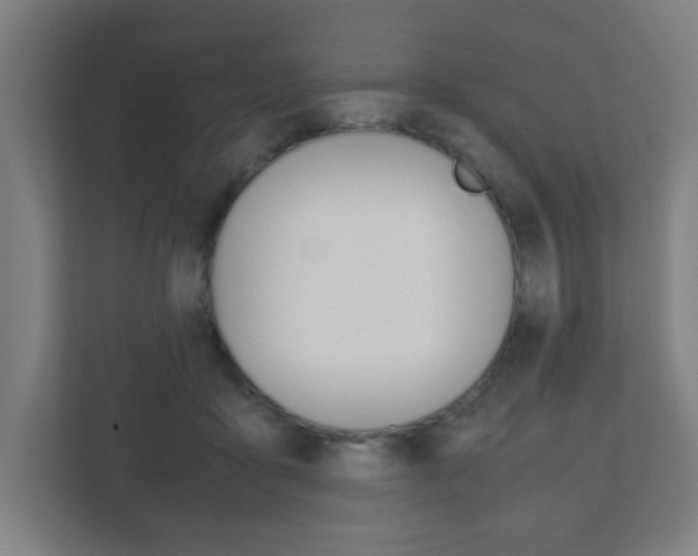 X0000111850411200907231104